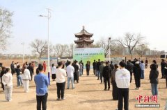 津疆共植“同心树”：15株哈密左公柳扎根天津杨柳青